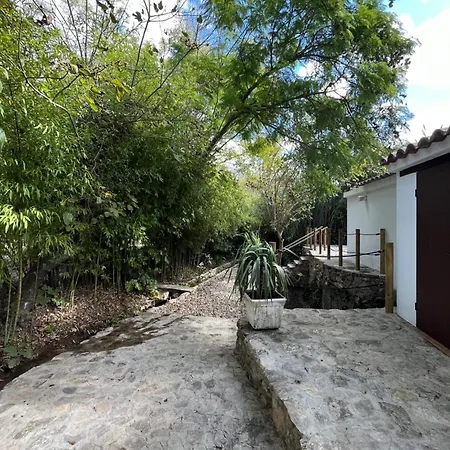 Molino Angorrilla * Cádiz