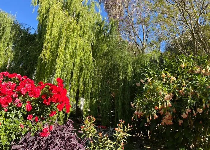 Molino Angorrilla * Cadiz