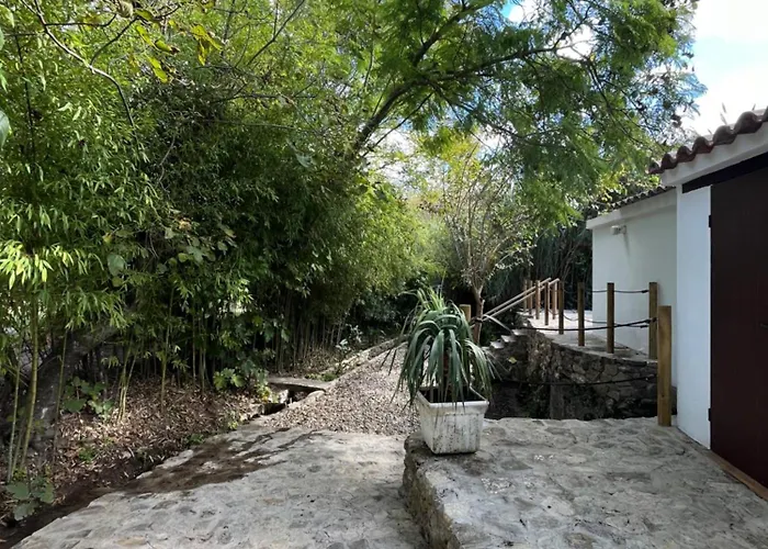 Molino Angorrilla * Cadiz