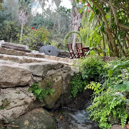 Molino Angorrilla קדיז