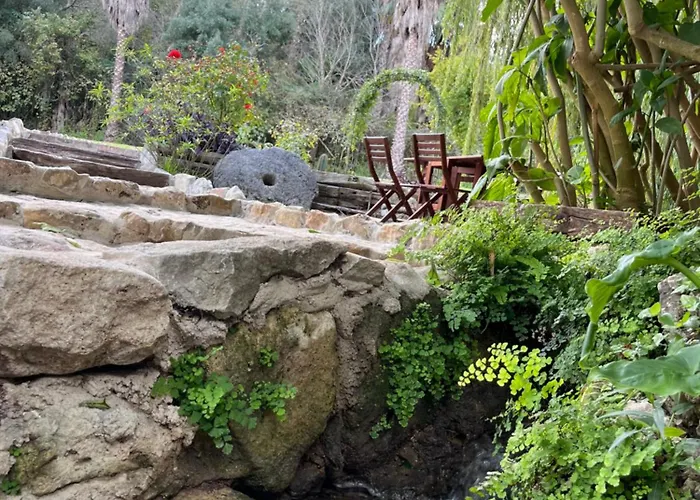 Molino Angorrilla Cádiz